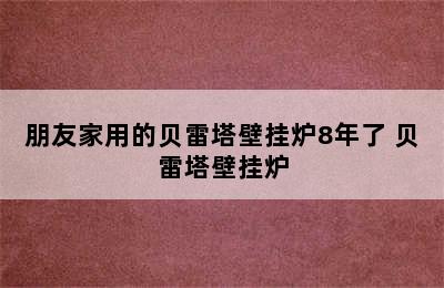 朋友家用的贝雷塔壁挂炉8年了 贝雷塔壁挂炉